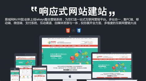 武汉网站建设平台分析
