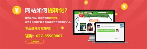 武汉网站推广商家服务