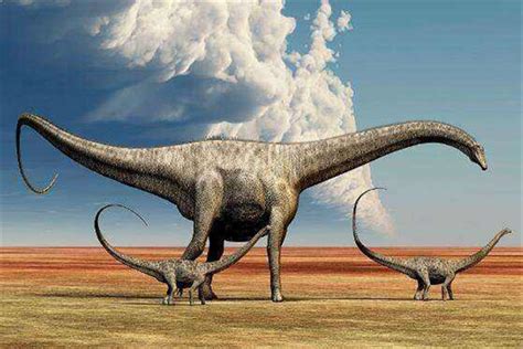 比较高大的恐龙