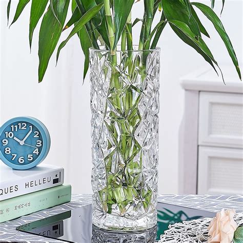 水养富贵竹专用花瓶
