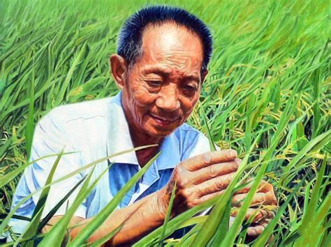 水稻之父的故事简短