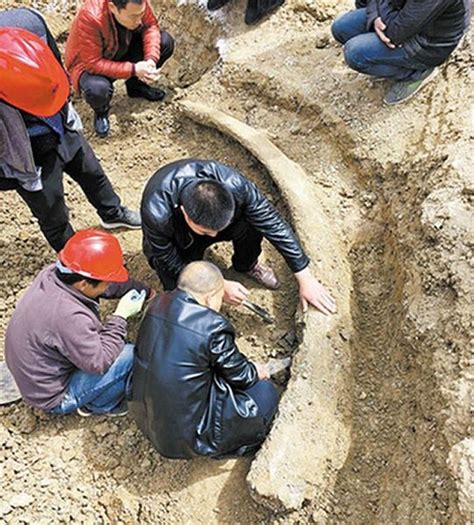 永城考古发掘最新