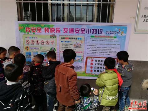 河南民生频道中小学安全素质教育