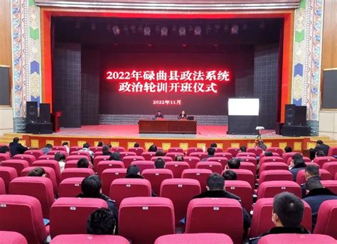 河南省政法系统政治轮训实施办法