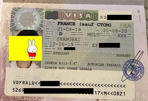 法国留学签证什么样子