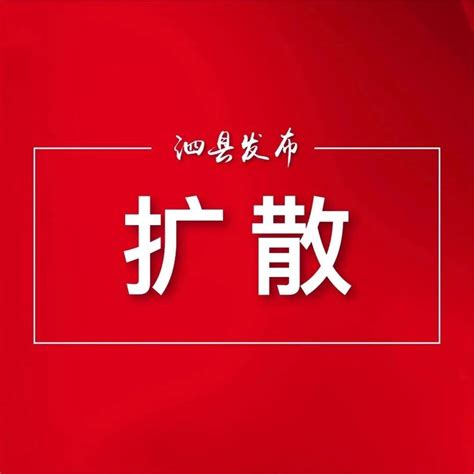 泗县政府招标网