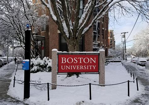 波士顿大学留学生的工作