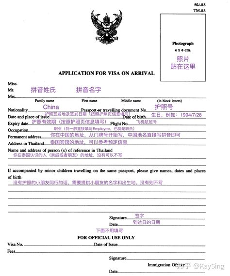 泰国落地签申请表怎么填写