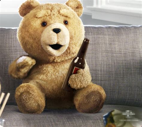 泰迪熊2超清完整版