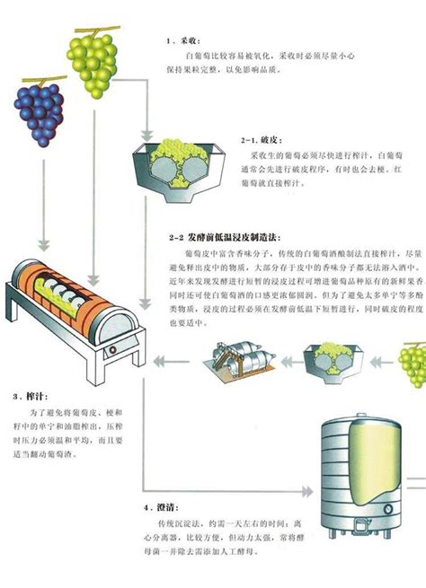 洋葱葡萄酒的制作流程