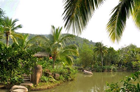海南雨林谷旅游