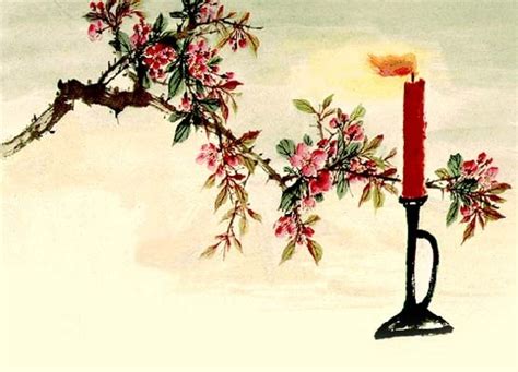 海棠古诗用烧高烛代替了什么