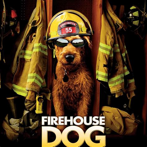 消防犬免费观看