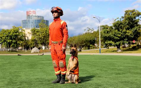 消防犬教程
