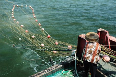 深圳哪里有出海打鱼的地方