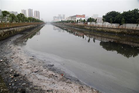 深圳河滩淤泥