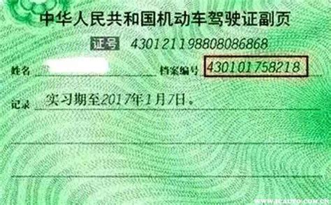 深圳驾驶证档案编号查询