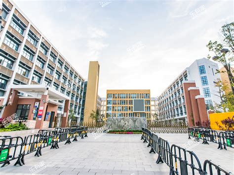深圳龙华区私立小学排名