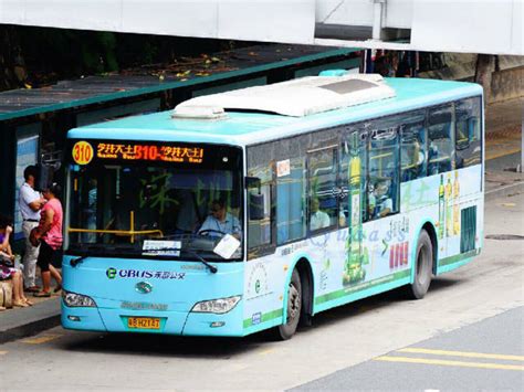深圳315-310路公交车