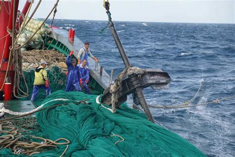 渔民违规出海捕捞