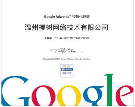 温州google网络推广