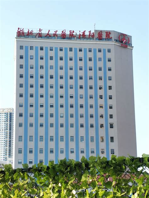 湖北省人民医院附近的酒店