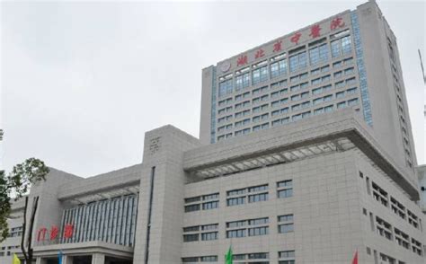 湖北省省中医院几个分院