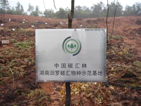 湖南中维碳汇林开发有限公司