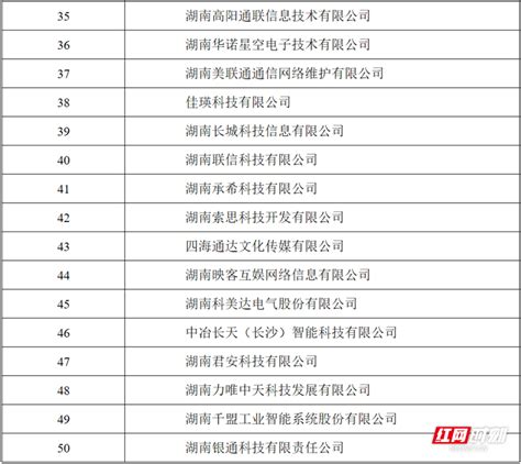 湖南省软件开发商排名前十