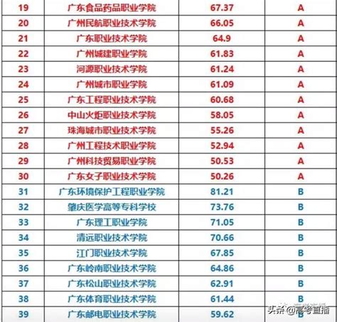 湛江专业seo排名前十的公司