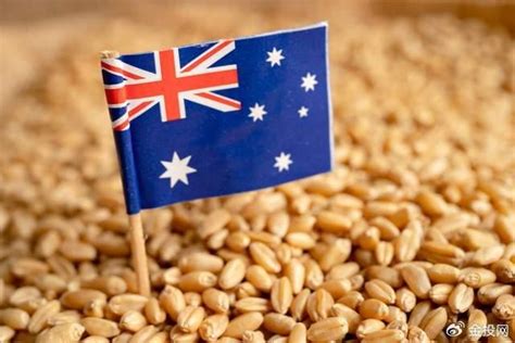 澳大利亚中国大麦市场