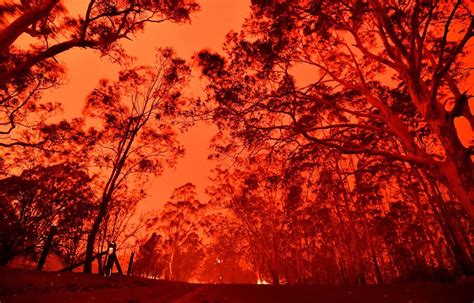 澳大利亚大火为什么严重
