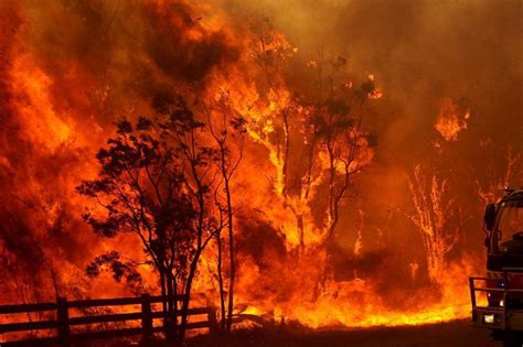 澳大利亚大火和什么有关