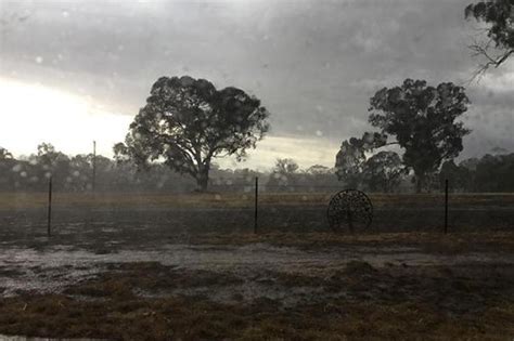 澳大利亚罕见下雨