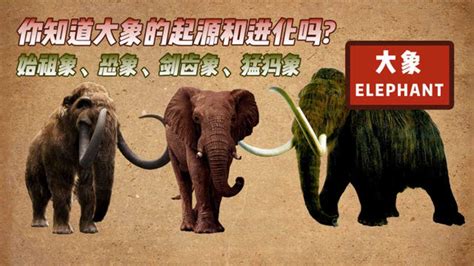 灭绝的大象排名