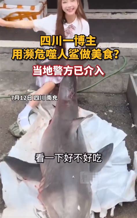 烹食大白鲨网红道歉原视频