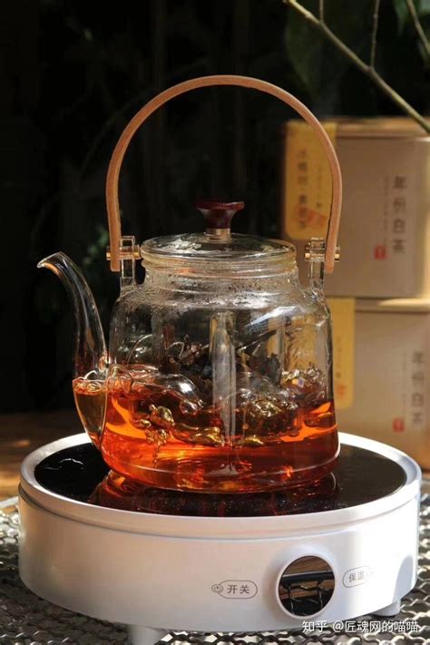 煮茶器适合煮什么茶