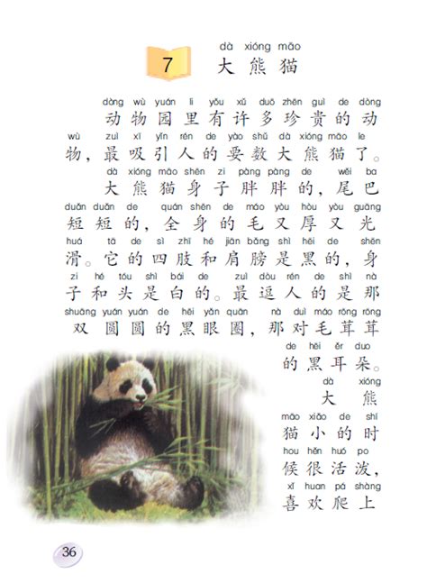 熊猫写话200字2年级