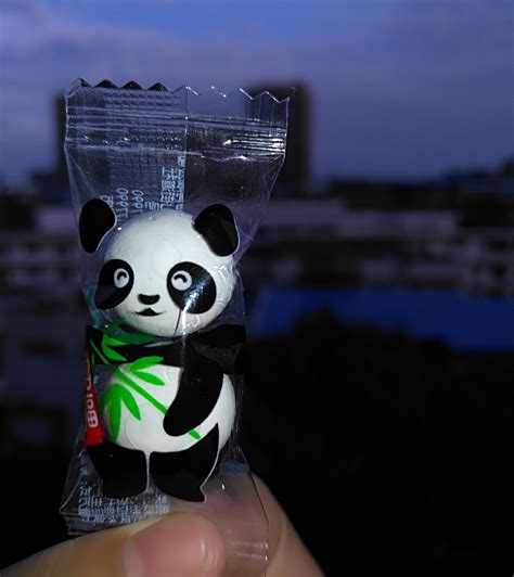 熊猫糖起名字