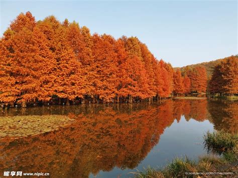 燕雀湖的秋景