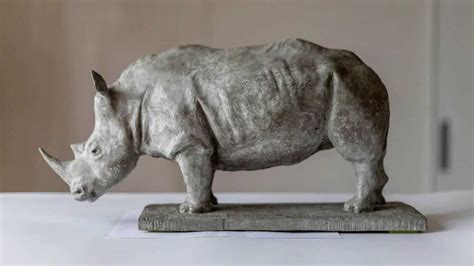 犀牛雕塑图片