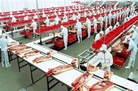 猪肉食品厂起名