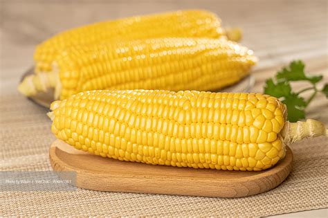 玉米的常用名字大全