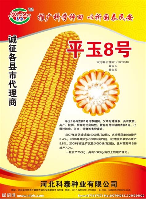 玉米种子出售广告语