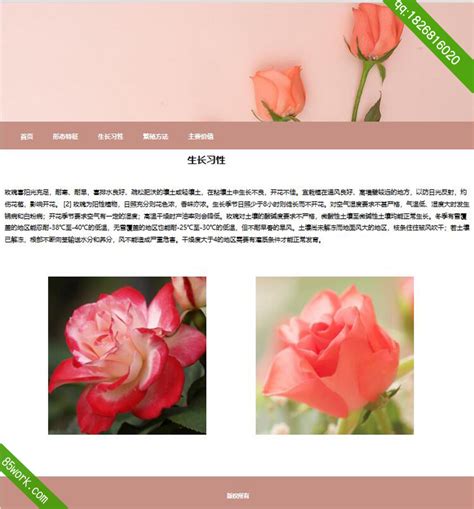 玫瑰花网站设计教程