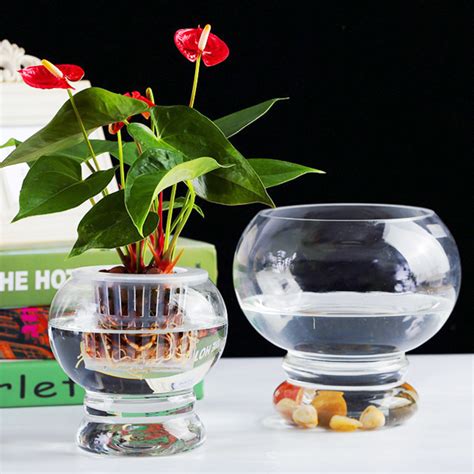 玻璃水培花盆