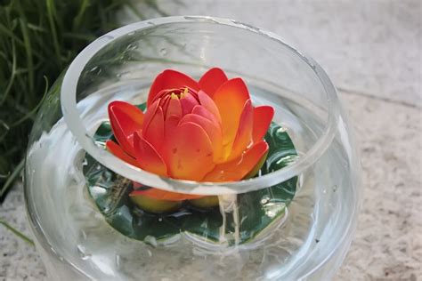 球形玻璃花盆