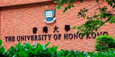 申请香港大学本科需要什么条件