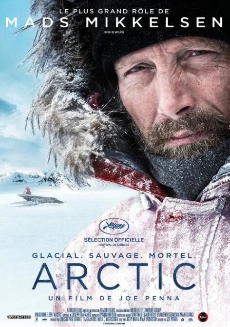 电影北极2019免费观看