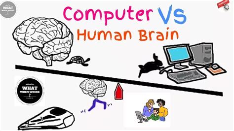 电脑和人脑的对比